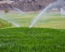 7720290-golf-course-with-sprinklers-on